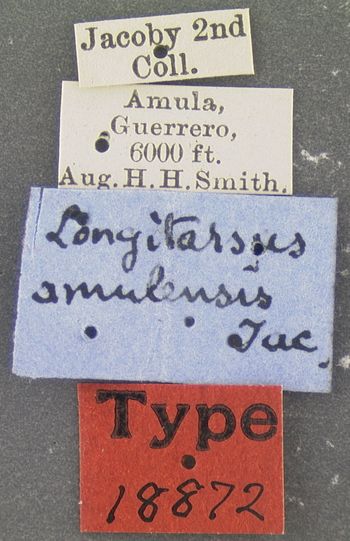 Media type: image; Entomology 18872   Aspect: labels